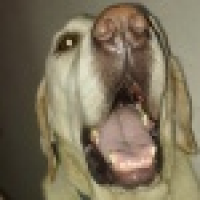 植发星文痷樰976