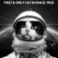 植发星梦魇My10145