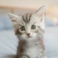 植发星▍Ju╭ˊmta