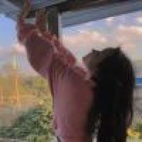 植发星感性的随缘123