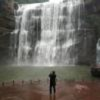 植发星梦里樱絮袭染尽