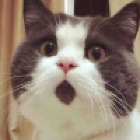 植发星小哥就是我fly