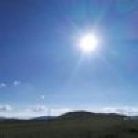 植发星年轻就是一资本