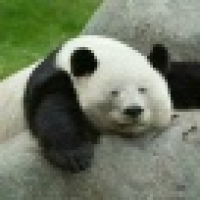 植发星旧的时代117