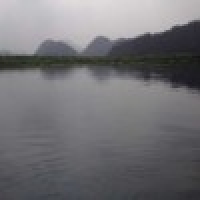 植发星忘了_你是谁_