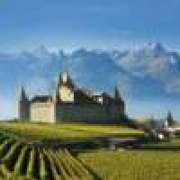 植发星木兮02899