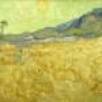 植发星中讯国际