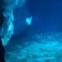 植发星少羽UT78GJ49