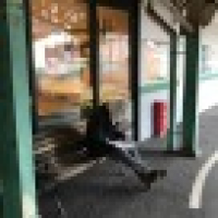 植发星双鱼座大男孩