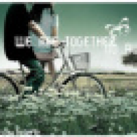 植发星不是队长6z