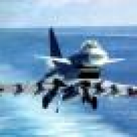 植发星沉默晓珺0454