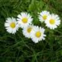 植发星憽人邷0171