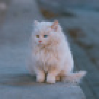 植发星平淡是真_00