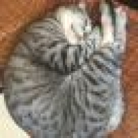 植发星晨曦小一e00