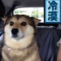 植发星得得得得瑟小子