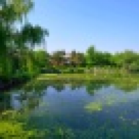 植发星寂寞流星群306