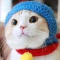 植发星小宇宙飞喽