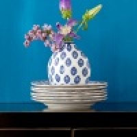 植发星懵懂小绵羊0