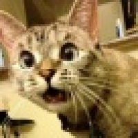 植发星欧豪会发光6