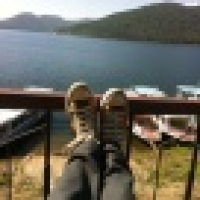 植发星南朝渔甫