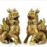 植发星心随梦一齐飞