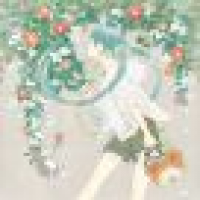 植发星小苹果tddp