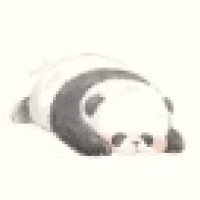 植发星安西佩戴