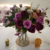 植发星似曾相识v03