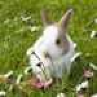 植发星晃虹虹有