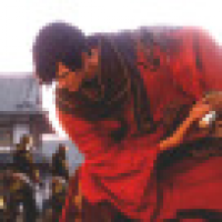 植发星海贼淘沙