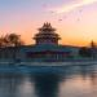 植发星沢田柾璜卍92