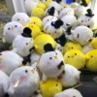 植发星悦少_eecfuq