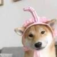 植发星小超制作469