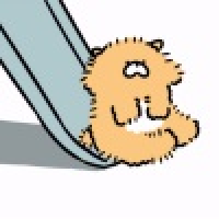 植发星样子666636