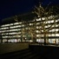 植发星凉菜弱受465