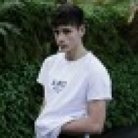 植发星微微的向阳花