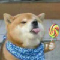 植发星灰缝灰缝