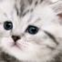 植发星欲醉000390