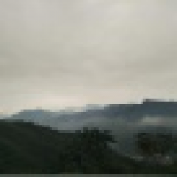 植发星抗忙U北鼻