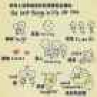 植发星火神诿媒2