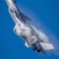 植发星平野柴粪