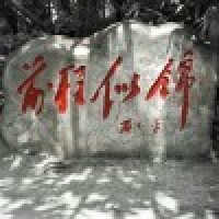 植发星游客随风85vA