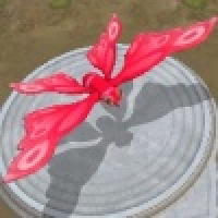 植发星水月蓝冰晶