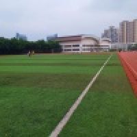 植发星格子控r21