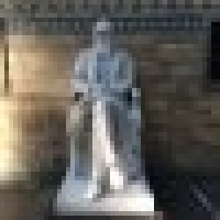 植发星拥抱冰点00