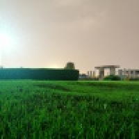 植发星歪有小爱340