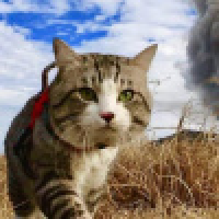 植发星拜辞先森°66