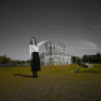 植发星暮年10303