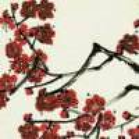 植发星油菜花腊山