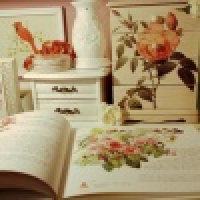 植发星灰机_小佑2q7b